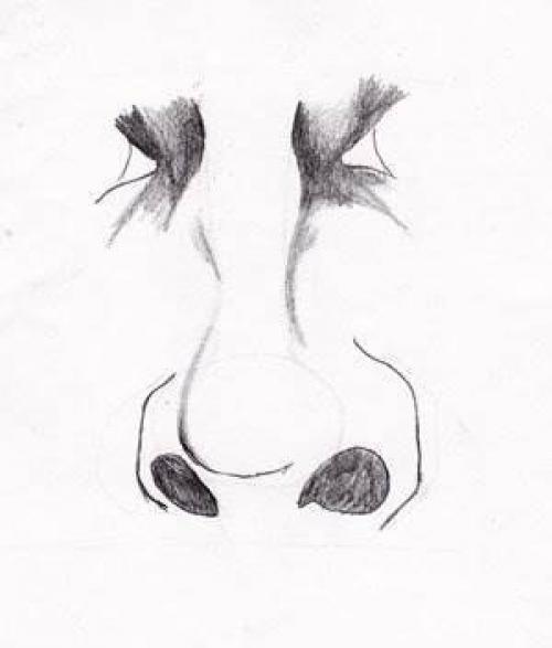 Рисуем нос карандашом поэтапно для начинающих. Как рисовать нос