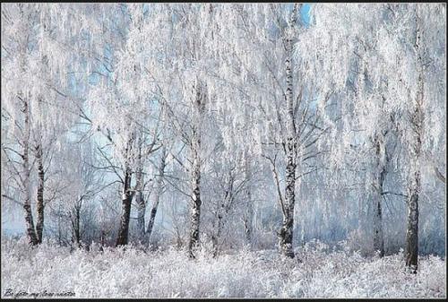 Кто такой валерий Брюсов. Детство 03