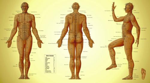 Что такое 5 точка. PO4EMU.RU » Разное » ПОЧЕМУ попа считается пятой точкой? 11