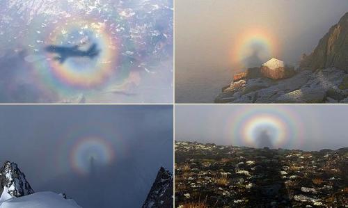 5 самых интересных фактов