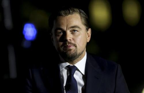 Убийство дельфинов в Дании праздник. Праздник» массовых убийств дельфинов в Датском королевстве 03