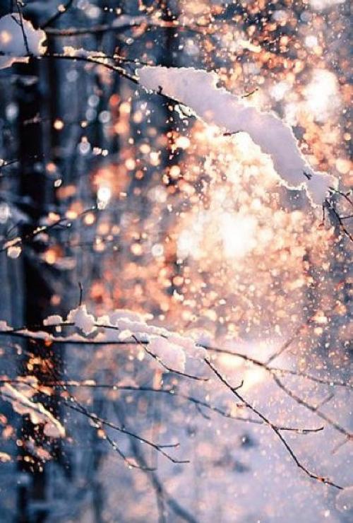 Кто такой валерий Брюсов. Детство 01