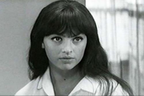 Внебрачные дети Высоцкого. Внебрачная дочь Высоцкого, о которой мало кто знает