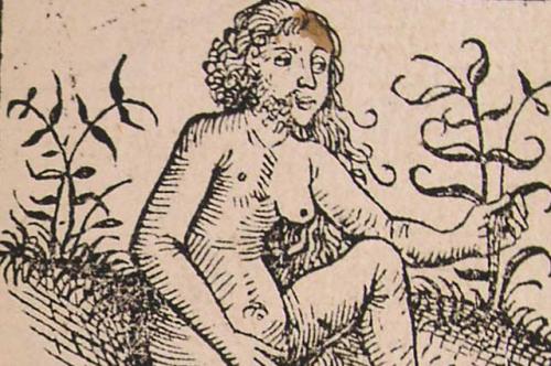 Происхождение людей на Земле. А Дарвин против! 8 странных теорий о зарождении жизни на Земле