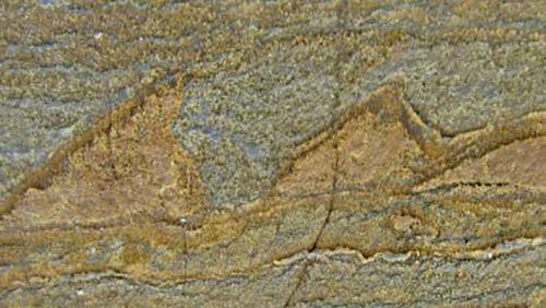 Когда зародилась жизнь на Земле. Первобытный бульон: где и когда зародилась жизнь на Земле