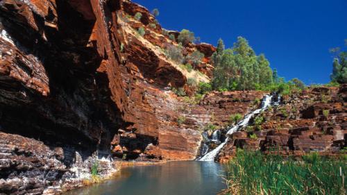 Когда зародилась жизнь на Земле. Первобытный бульон: где и когда зародилась жизнь на Земле