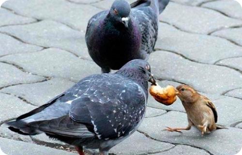 Интересное в мире для детей 7 лет. Интересные факты для детей (7 фото) 10