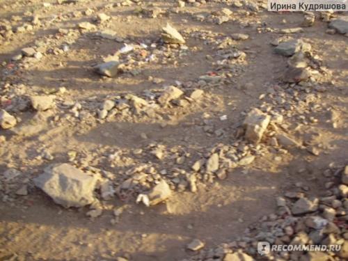 Аркаим место силы. Аркаим — место силы.