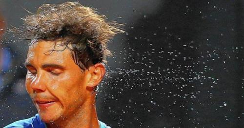 Короткие интересные факты обо всем. Интересные факты, которые удивят и шокируют вас