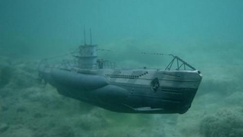 Интересные факты обо всем на свете для детей. Удивительные и интересные факты обо всём на свете 21