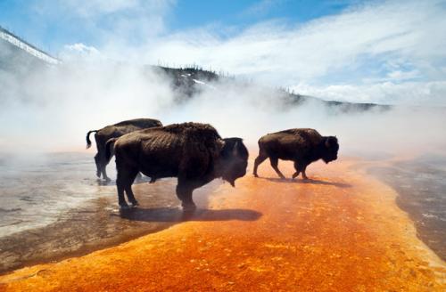 Вулкан в еллоу стоун. Дремлющий супервулкан 09