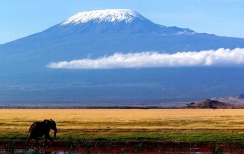 Самый большой вулкан в мире. Самые высокие действующие и потухшие вулканы в мире