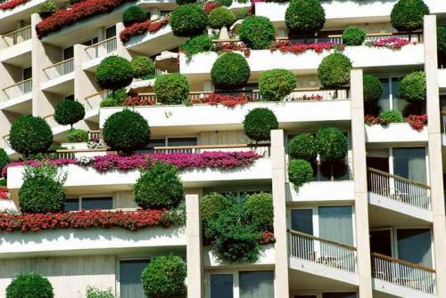 Висячие сады Семирамиды рисунок. Висячие сады Вавилона фотографии