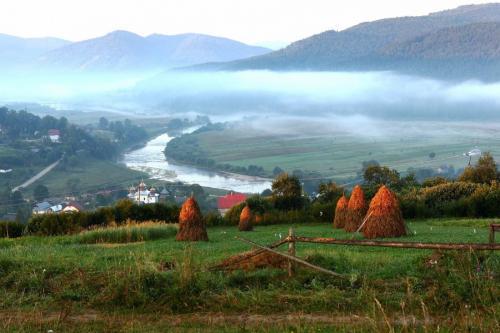 Научные факты о природе. Факты о живой природе 12