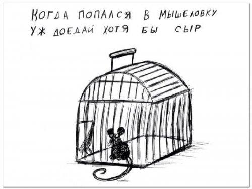 Лучшие двустишия. Жизненные двустишия