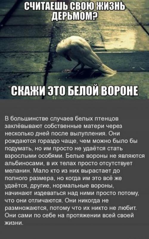 Исторические факты для детей. 10 интересных исторических фактов о детях, которые вы точно не знали 24