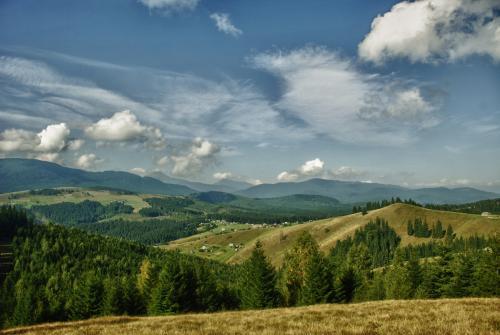 Научные факты о природе. Факты о живой природе 09