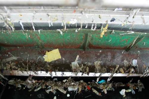 Куда сливаются отходы из канализации. Особенности канализационных устройств частного дома 10