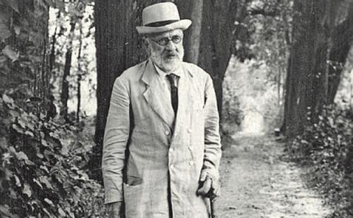 Лев Толстой дети. Как сложилась судьба детей гениального писателя Льва Толстого