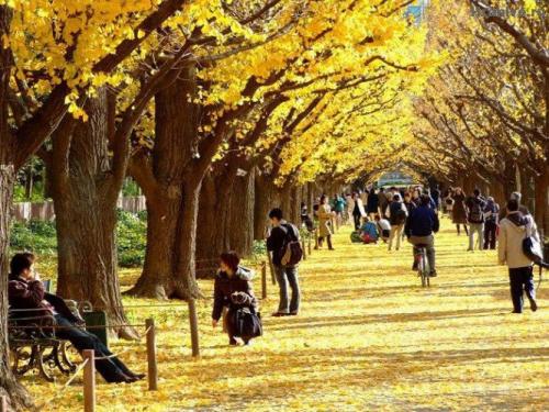 Хиросима и Нагасаки википедия в каком году причины. 12 неизвестных фактов о Хиросиме и Нагасаки во время войны