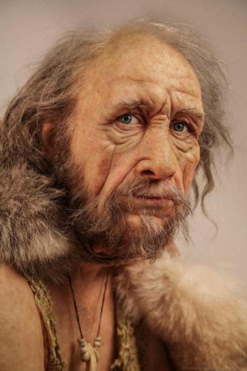 Происхождение человека эволюция человека. Основные стадии эволюции человека 01