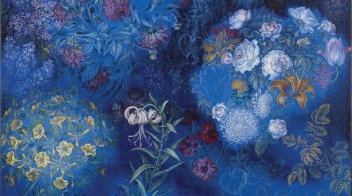 Интересные факты о природе украины. 11 интересных фактов об Украине, которые вы могли не знать