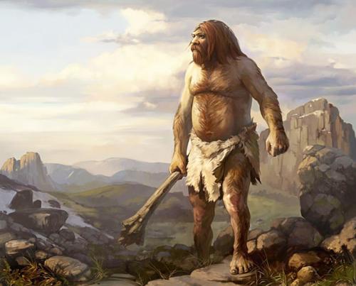 Рассказ об эволюции человека. Основные стадии эволюции человека 01