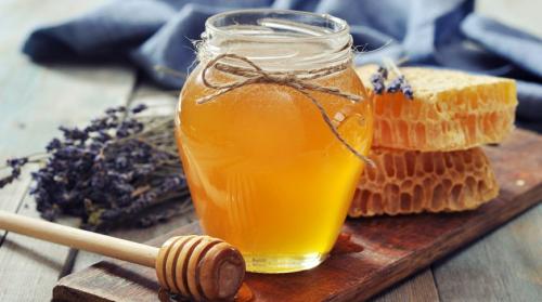 Интересные факты о природе украины. 11 интересных фактов об Украине, которые вы могли не знать