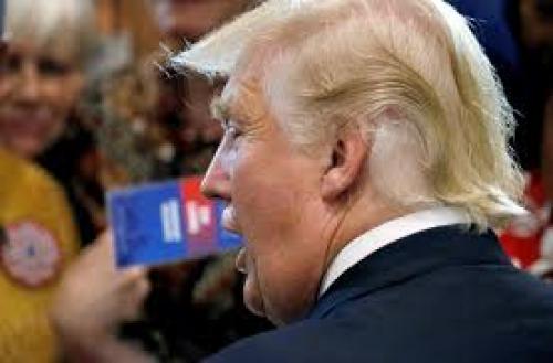 Интересные факты о трампе. Факты биографии Д. Трампа