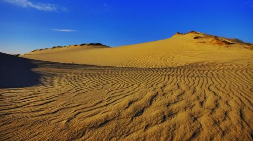 Интересные факты о природе украины. 11 интересных фактов об Украине, которые вы могли не знать