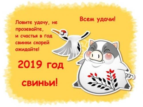 Стихи на Новый год 2019. Прикольные поздравления с Новым 2019 Годом.