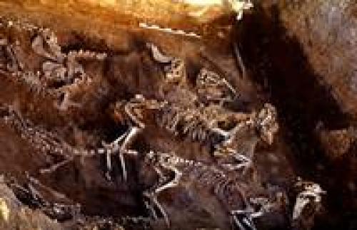 Сообщение о городе аркаим. Раскопки Аркаима. Находки поселения 05