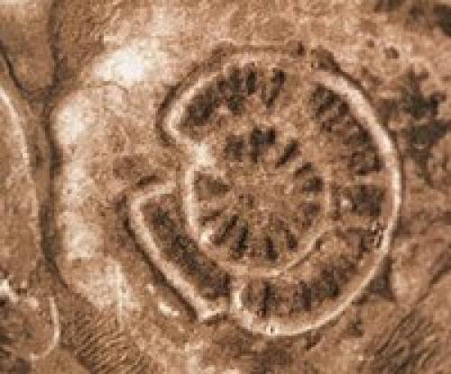 Сообщение о городе аркаим. Раскопки Аркаима. Находки поселения 07