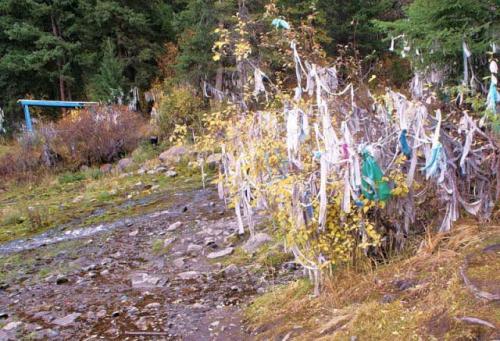 Народы алтайского края. Горловое пение Кай