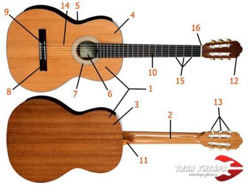 Устройство гитары классической шестиструнной схема