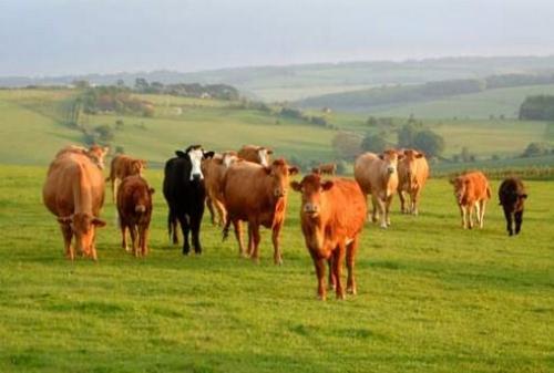 Интересные факты об Уфе. 10 самых интересных фактов об Уфе и Башкирии