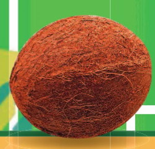 Интересные факты о футболе и футболистах. Футбол — интересные факты 02