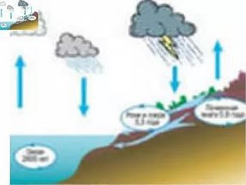 Интересные факты о почве для школьников. Интересные факты: почва и вода в жизни растений 02