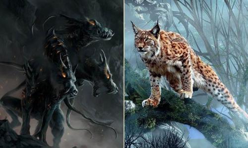 Интересные факты о Рыси + Видео