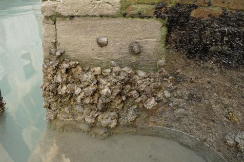 Канализация в венеции. Тайна канализации Венеции...