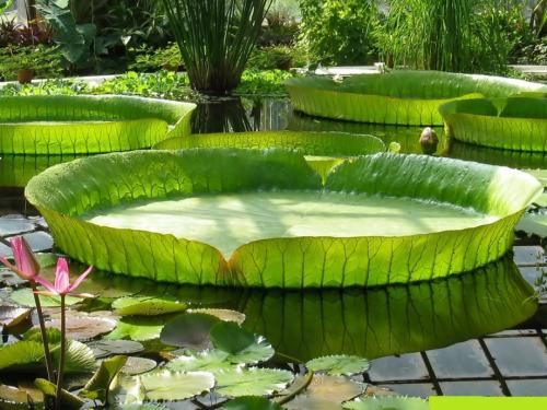 Интересные факты о тканях. 05