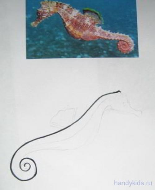 Морской конек рисунок. Как нарисовать морского конька и раскраска Морской Конёк