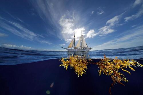 Страшный океан. Самые жуткие аномальные зоны мирового океана (6 фото)