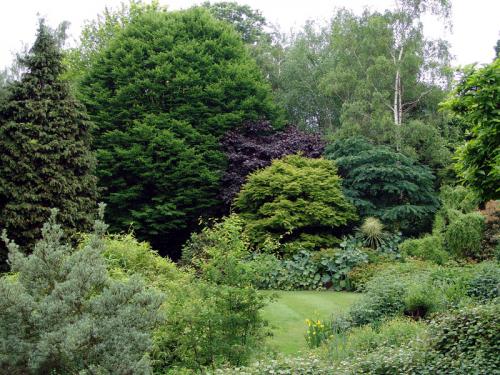 Интересные факты о тканях. 07