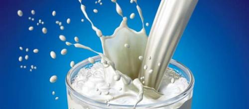 10 малоизвестных фактов о молоке