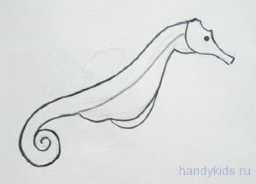 Морской конек рисунок. Как нарисовать морского конька и раскраска Морской Конёк