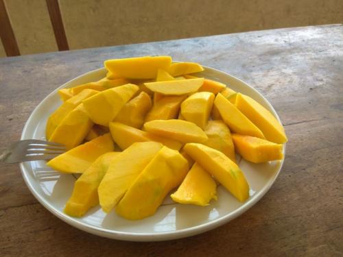 Конго уровень жизни. Зарисовка жизни в глубинке Африки (Конго Заир)