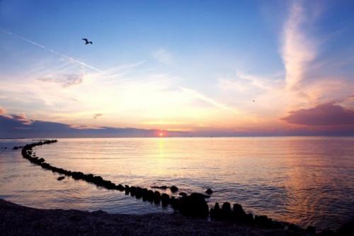 Интересные факты о азовском море. 