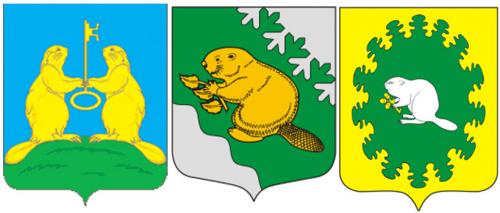 Интересные факты о бобрах 16