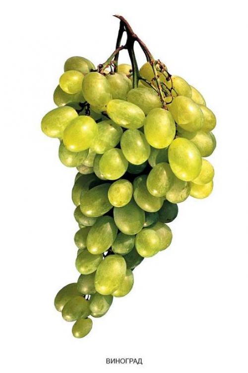 Лесные ягоды интересные факты. Лесные ягоды Заполярья. Интересные факты 01